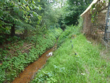 Hechtgraben in Richtung Dölau im Bereich "Am Waldrand"