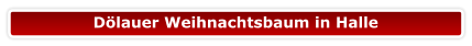 Dölauer Weihnachtsbaum in Halle